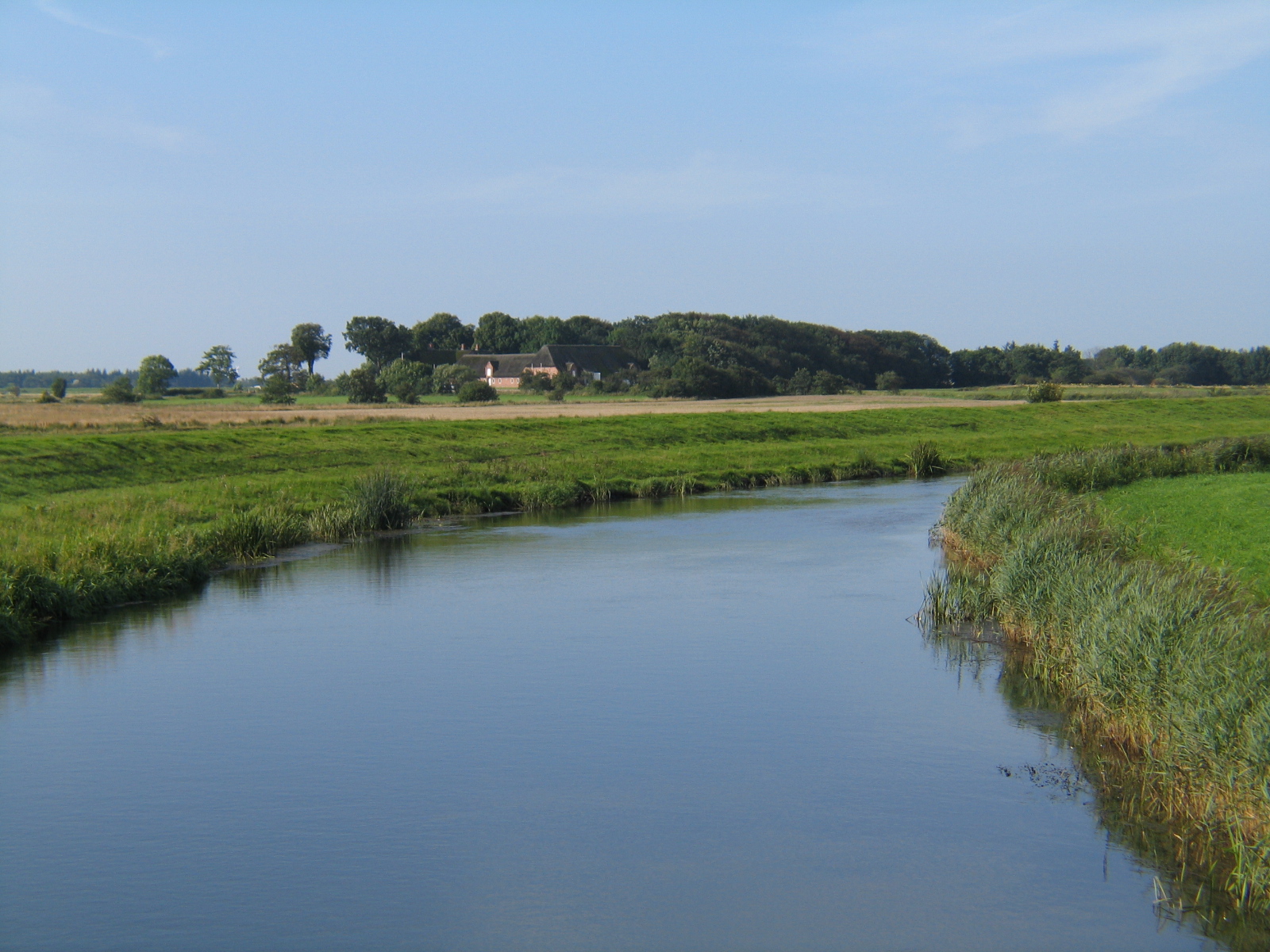 Ubjerg - Vidåen 02 - Sommer.JPG
